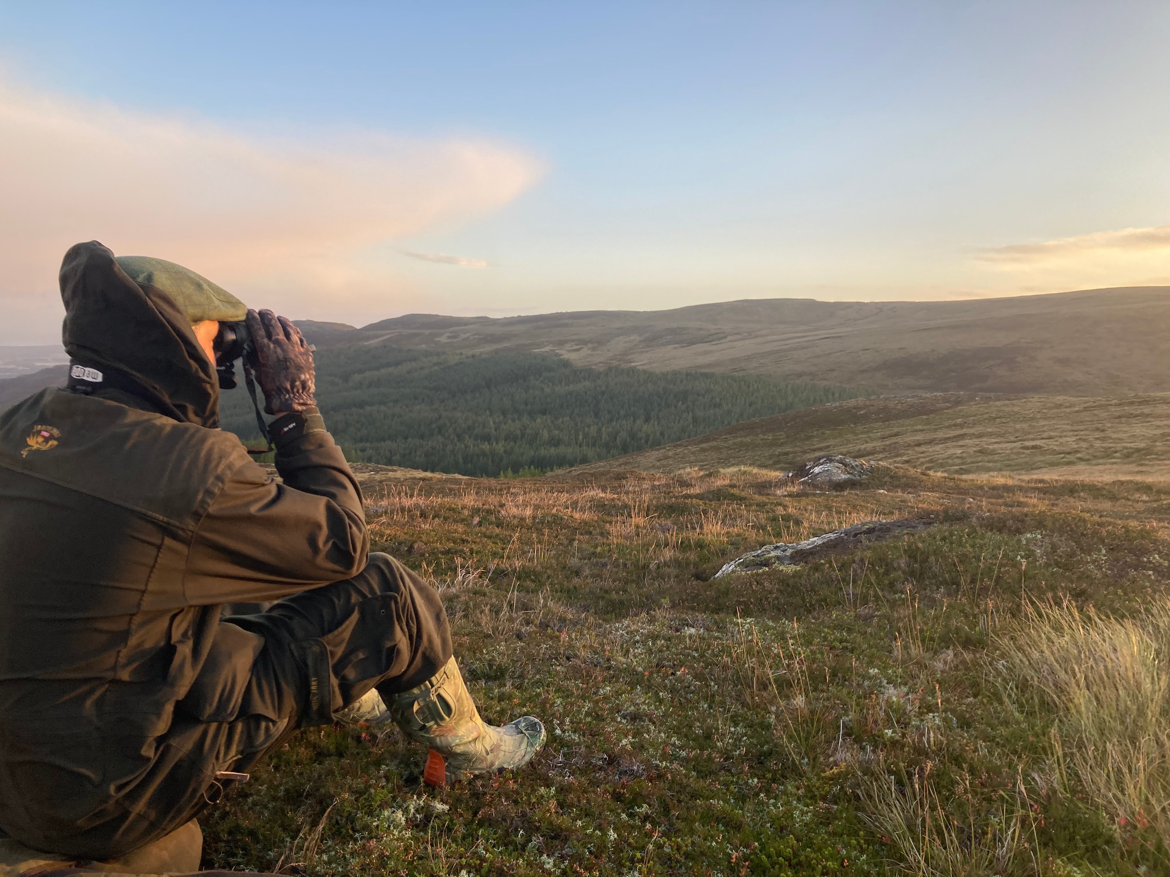 Stalker glassing open moorland at dusk with binoculars