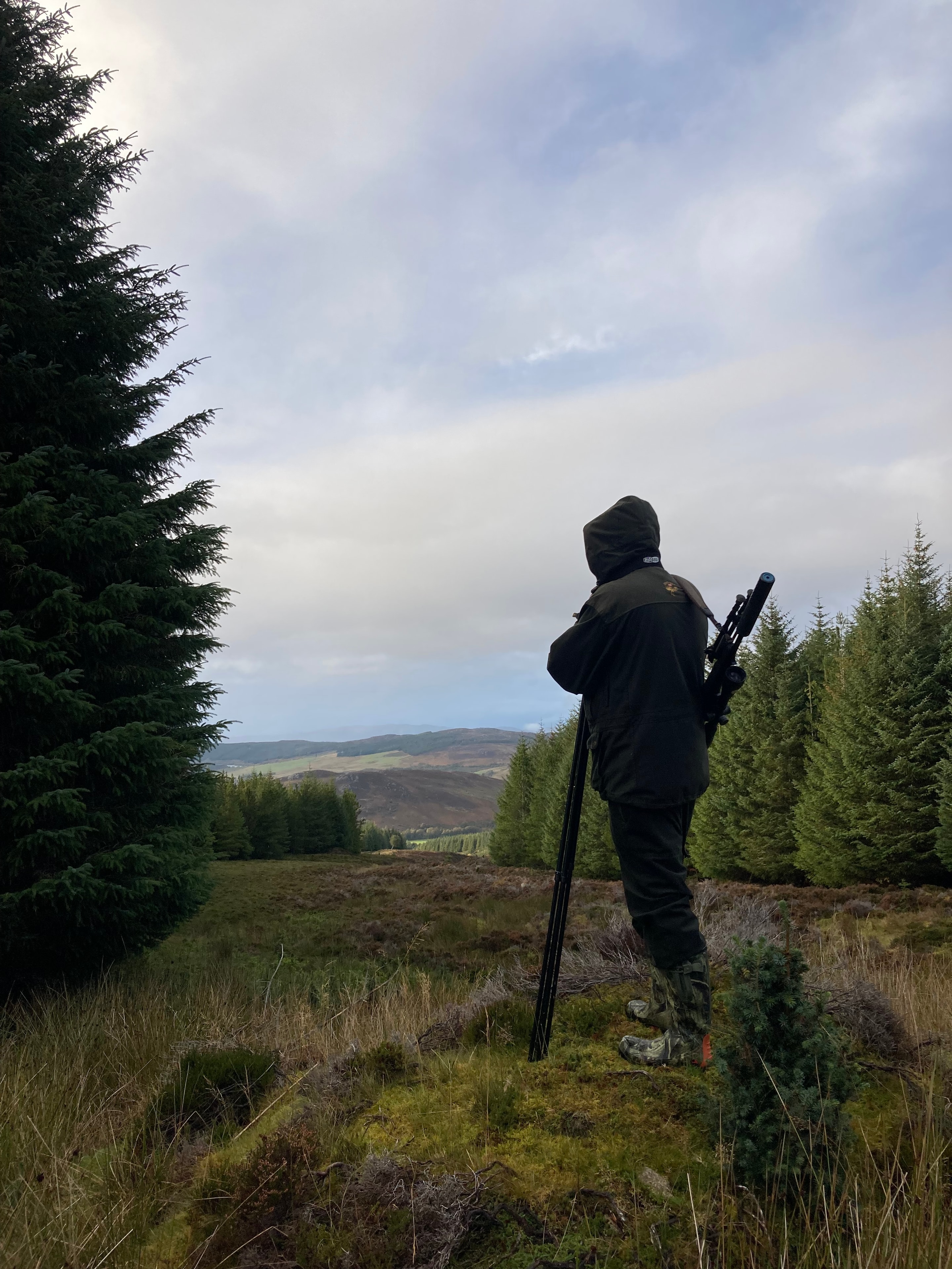 Stalker carrying a rifle at the edge of a conifer woodland