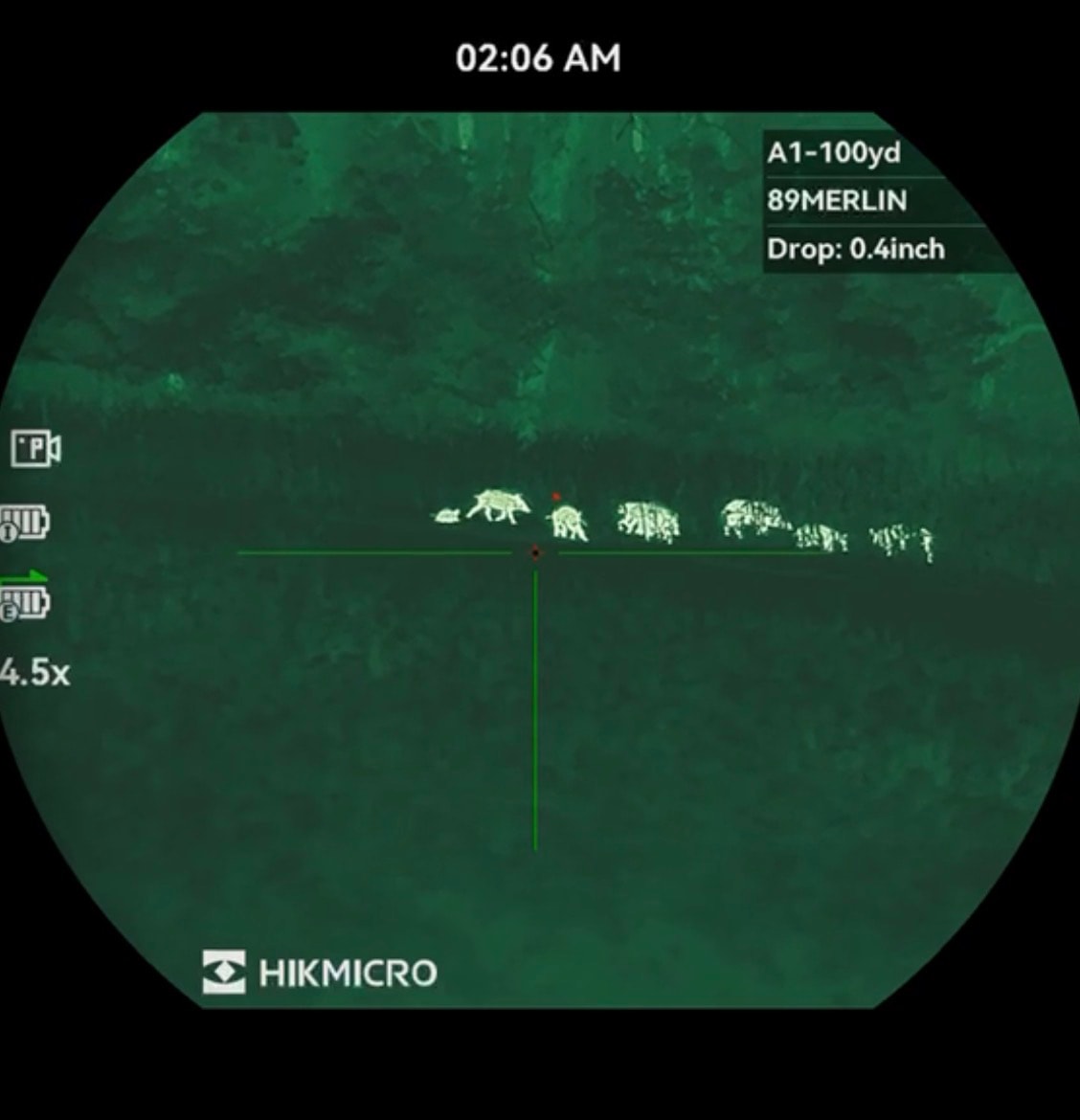 Wild boar sounder moving along a woodland trail captured on trail camera